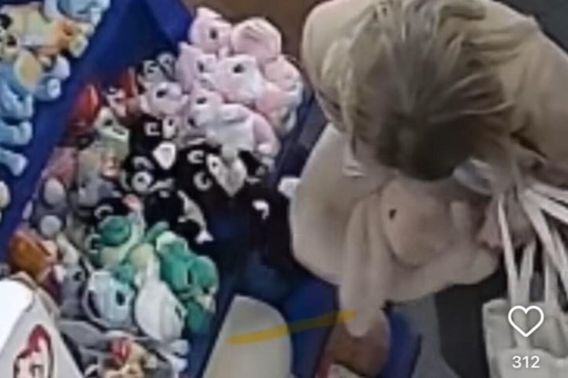 Thief stuffs ‘significant amount’ of Jellycat toys in trousers at city garden centre Worcester News