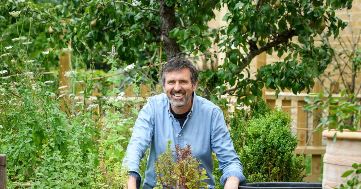 How a smaller garden helped me through burnout and depression – The Irish News How a smaller garden helped me through burnout and depression – The Irish News