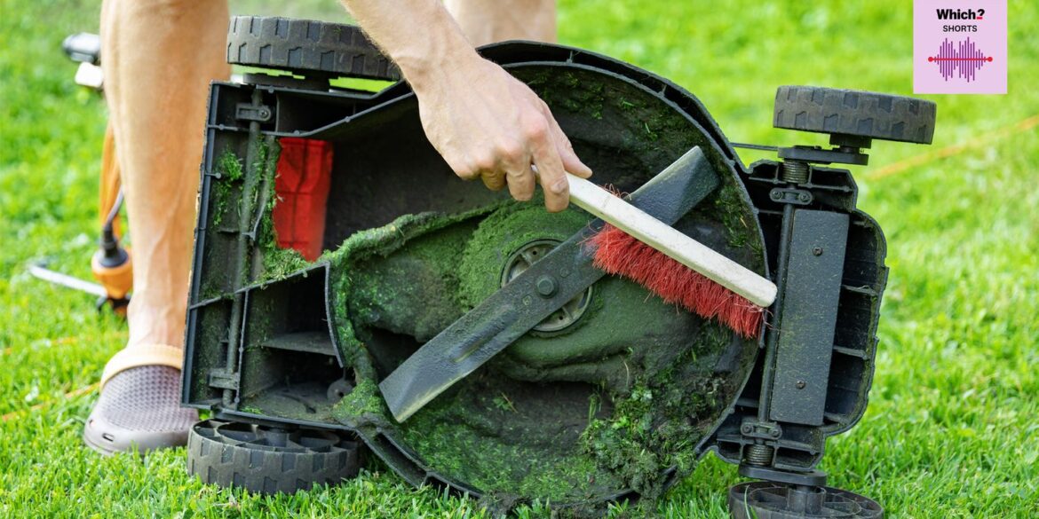 How to look after garden power tools