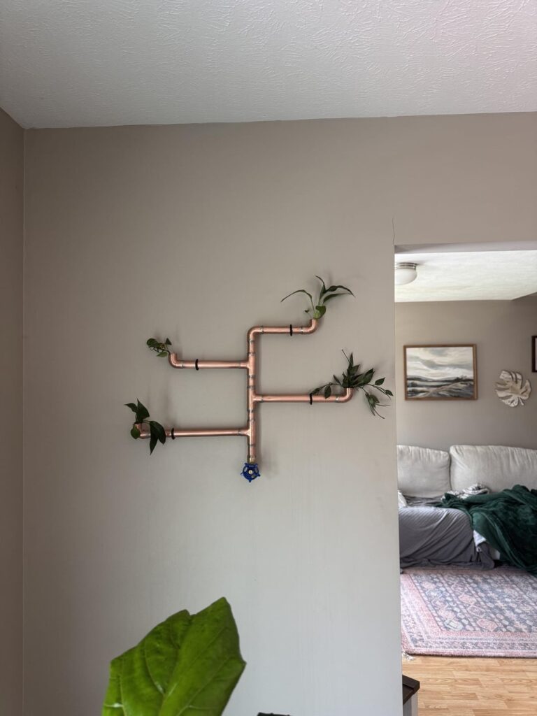 My girlfriend wanted something unique to put plants in. So I made a wall planter out of copper pipe.