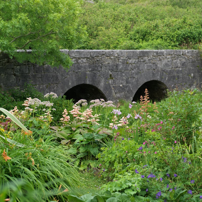 Caher Bridge Garden