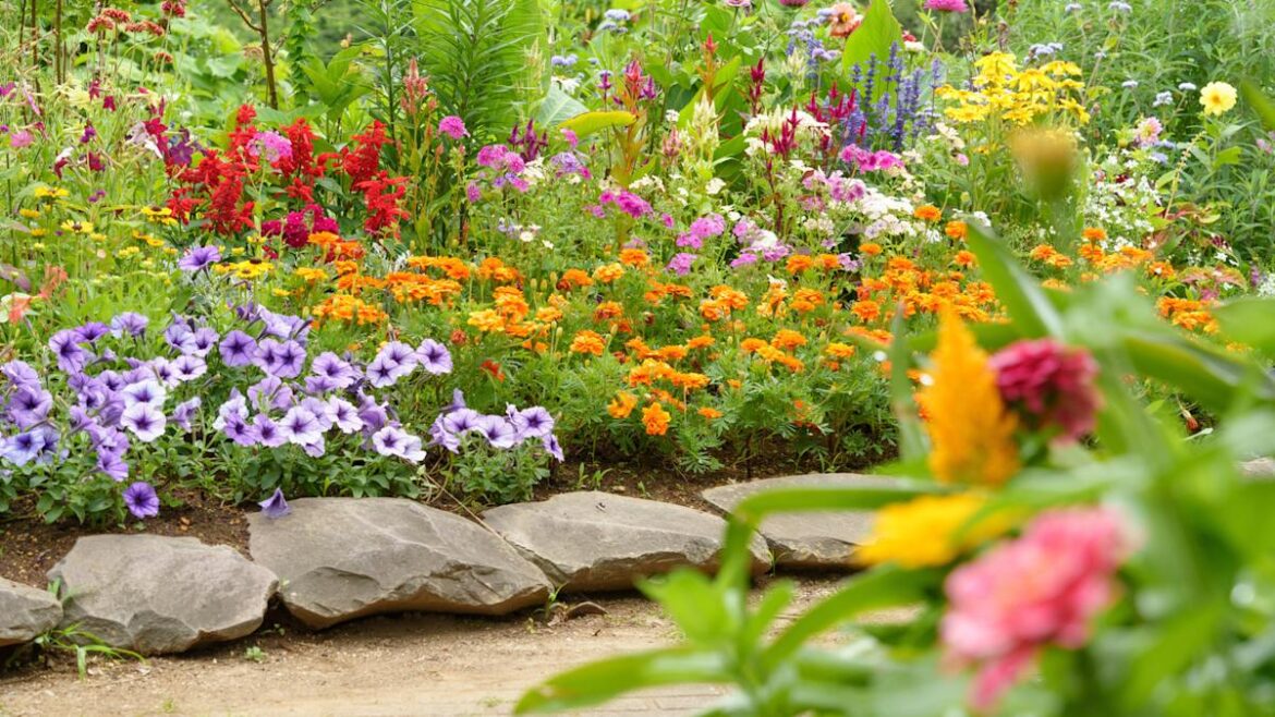 The Number One Flower You Should Be Adding To Your Chaos Garden Yahoo lifestyle home