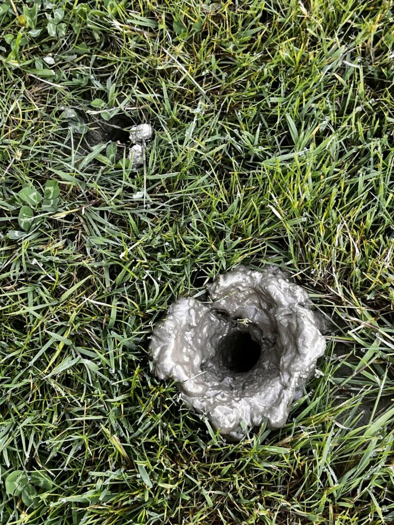 What am I dealing with here?