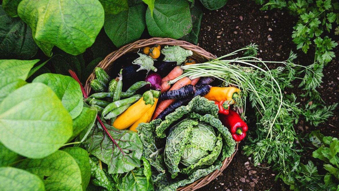 Yahoo lifestyle home