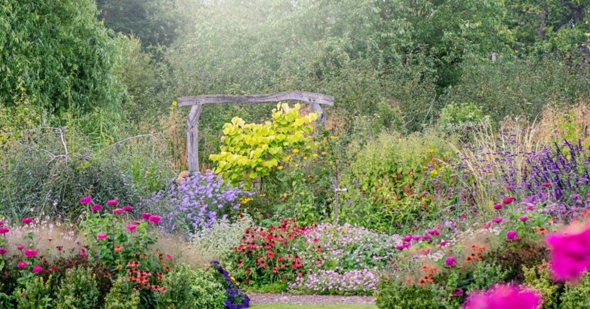 Add 1 easy item to make your garden look ‘cheery and colourful’ Add 1 easy item to make your garden look 'cheery and colourful'