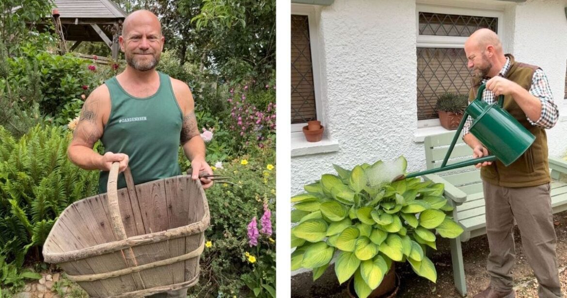 Gardeners urged to be wary of 2 things in their garden this June