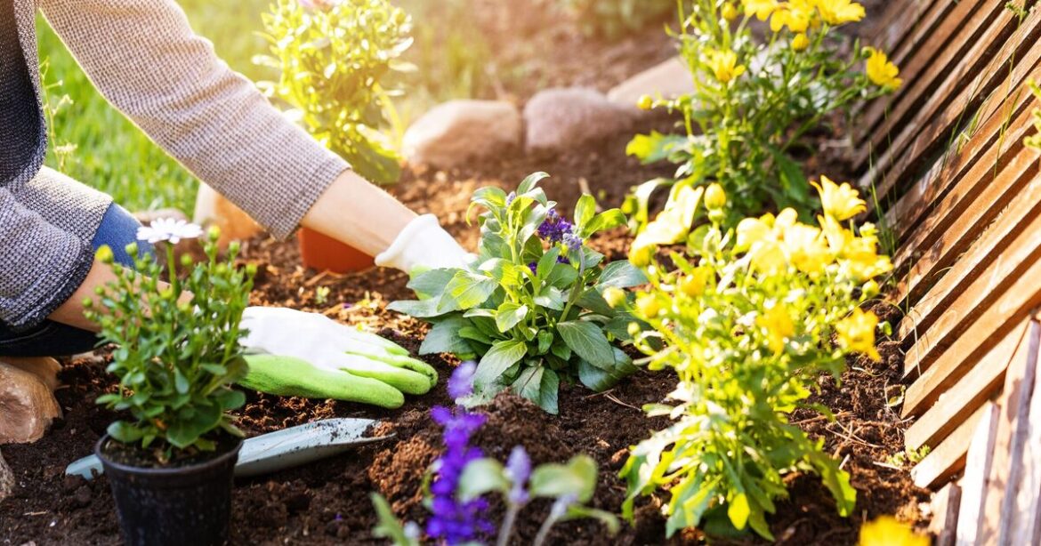 Gardeners urged not to make 1 common mistake this summer
