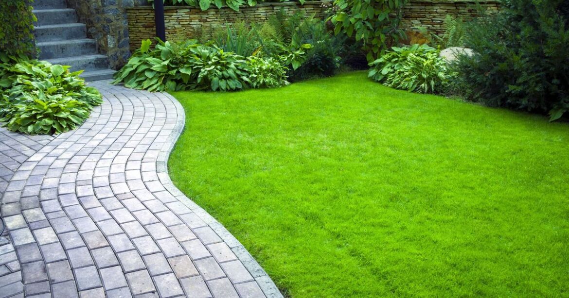 How to make lawns greener and healthier with 1 natural item gardeners love
