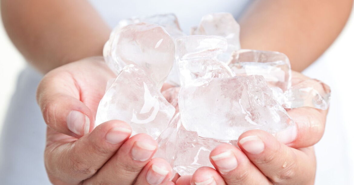 Gardeners urged to add ice cubes to their plant pots