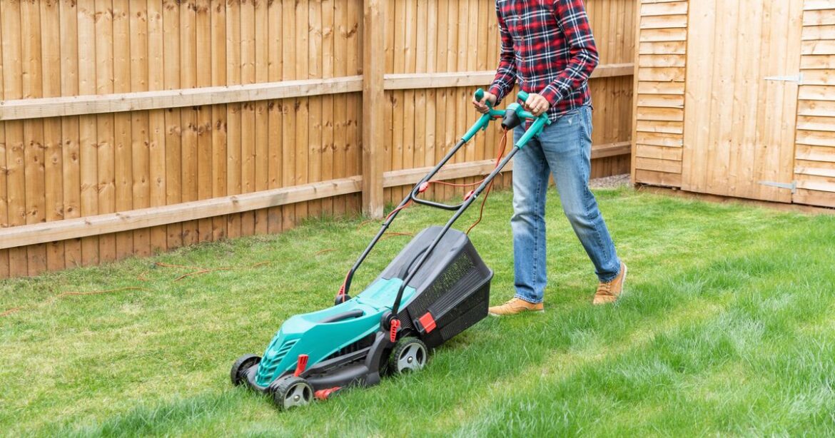 People with gardens told not to mow lawns until September People with gardens told not to mow lawns until September
