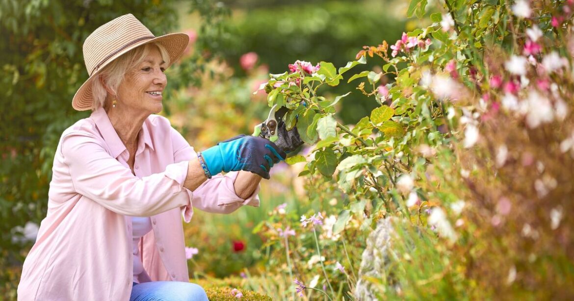 Gardeners urged to do this one unusual gardening job