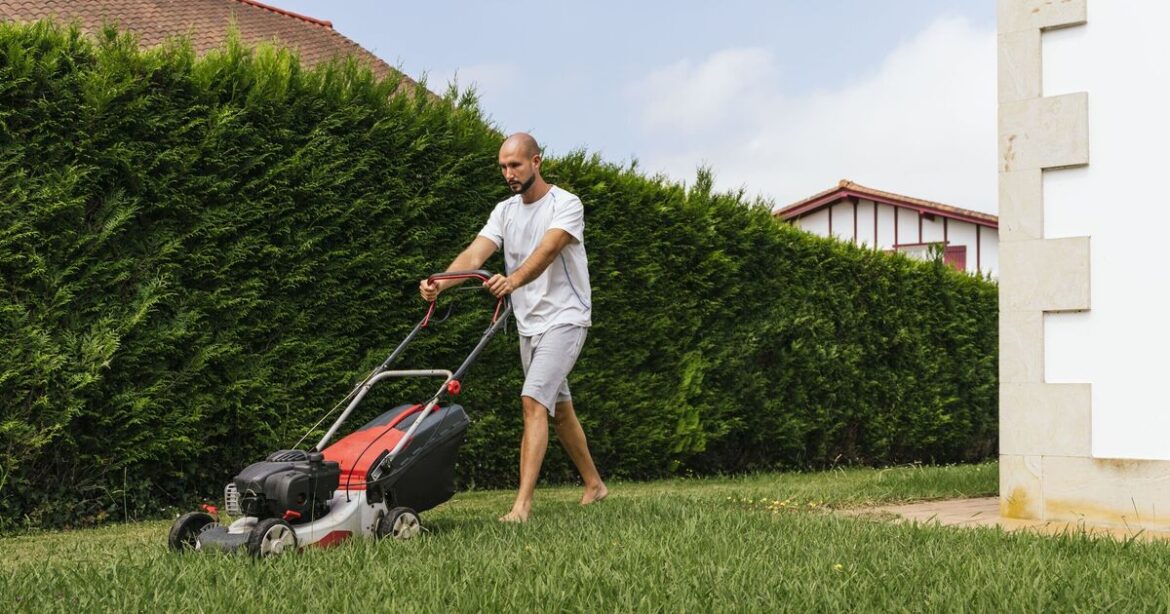 'My lazy gardener's guide for perfect lawn has three steps'