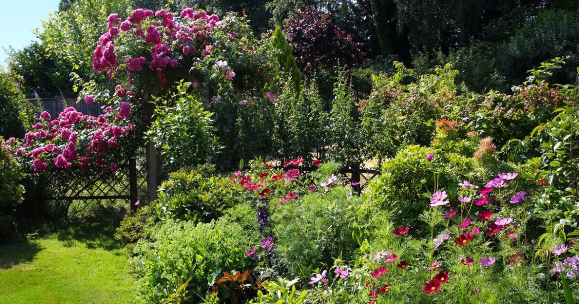 Five essential gardening tasks you must do in June