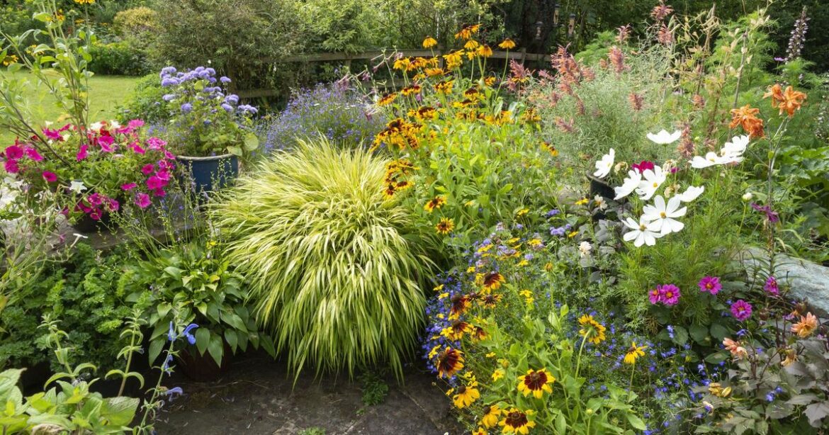 All the gardening tasks to complete in June, July and August All the gardening tasks to complete in June, July and August