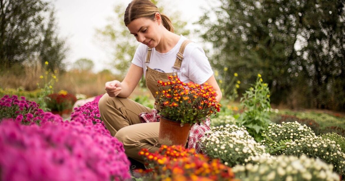 Gardens will be ‘colourful and buzzing’ if you plant 1 flower this summer Gardens will be 'colourful and buzzing' if you plant 1 flower this summer