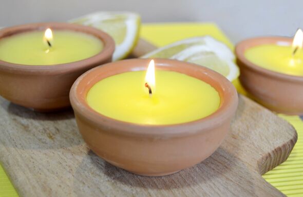 Citronella Candles, close-up