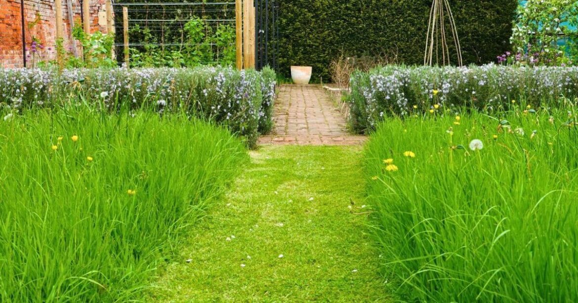 Lawns stay healthy in summer if gardeners avoid 1 simple task in June