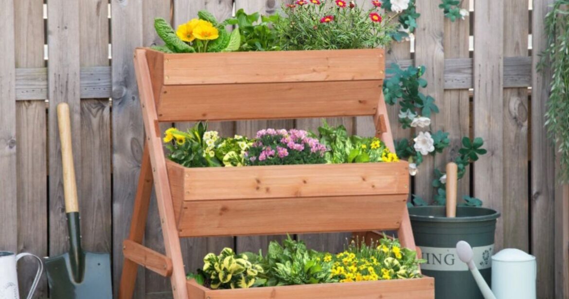 Gardeners praise ‘sturdy’ wooden raised garden bed Gardeners praise 'sturdy' wooden raised garden bed