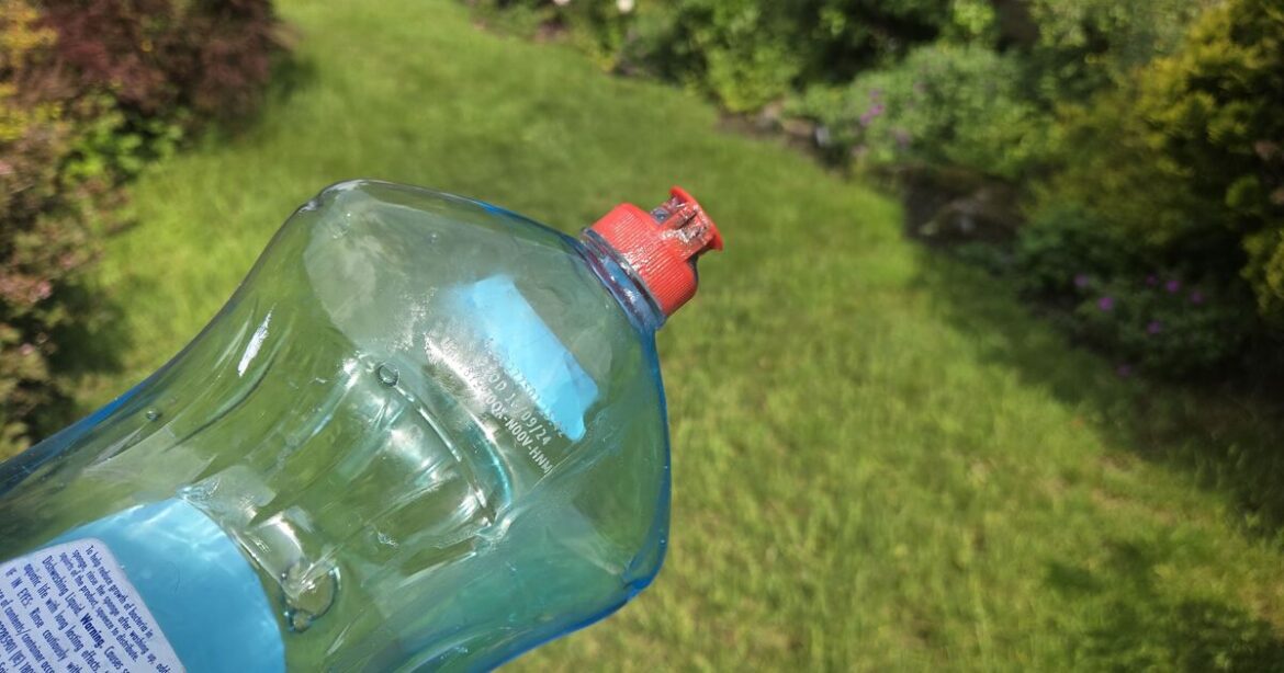 Gardeners urged to spray washing up liquid on plants