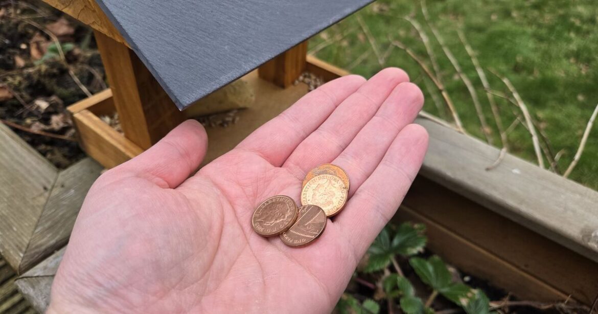 Gardeners urged to leave pennies in bird baths this summer Gardeners urged to leave pennies in bird baths this summer