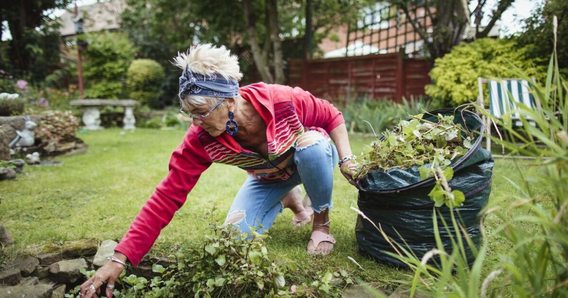 Gardeners urged to stop making 1 crucial mistake this June Gardeners urged to stop making 1 crucial mistake this June