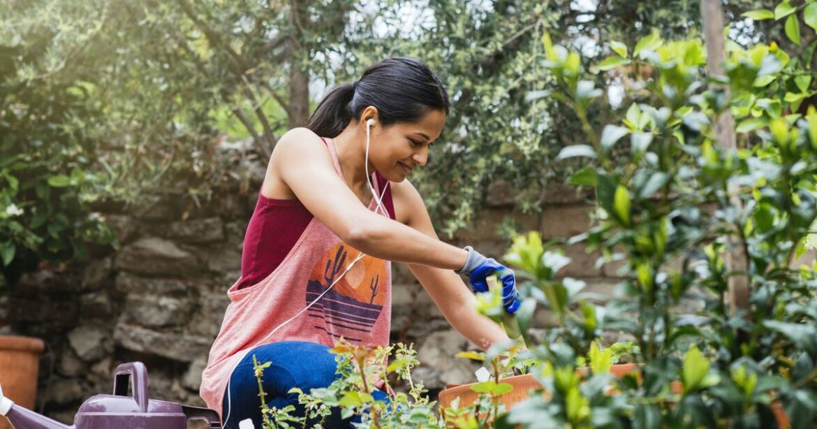 Gardeners told one job can kill plants in 30C heat