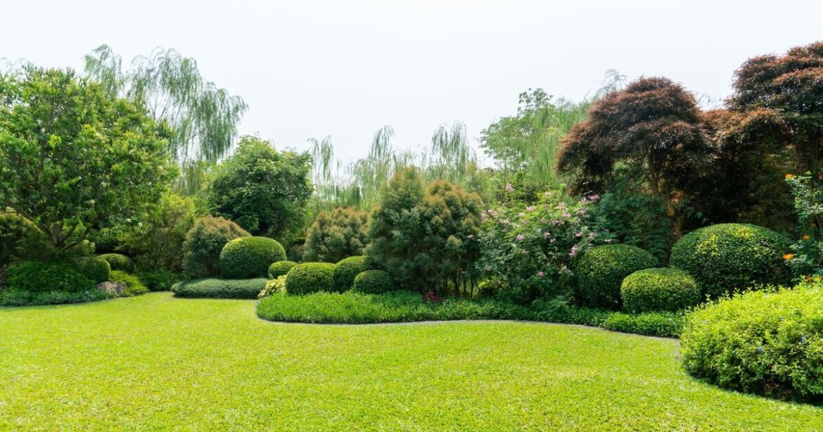 Alert for gardeners over pest that’s ‘active’ in June – can cause breathing problems Alert for gardeners over pest that’s ‘active’ in June - can cause breathing problems