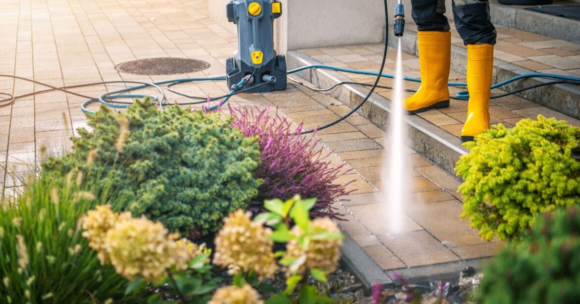 Alert issued to gardeners using common tool to get rid of patio weeds Warning issued to gardeners using common tool to get rid of patio weeds