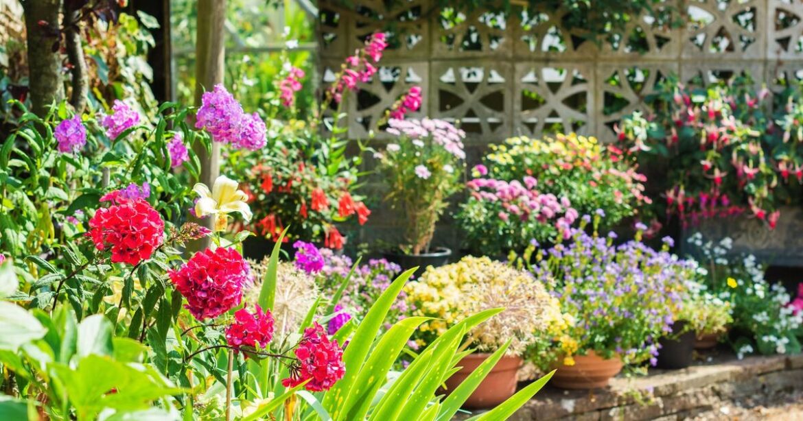 Gardeners urged to put human hair on soil next to plants