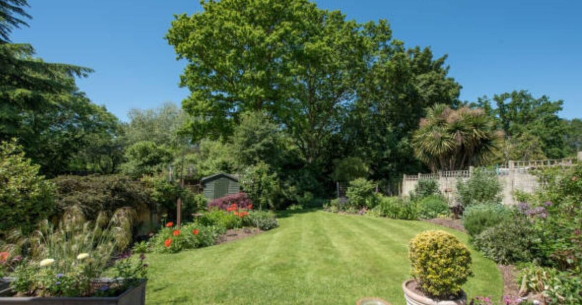 Anyone with a garden urged to do 1 thing on Friday