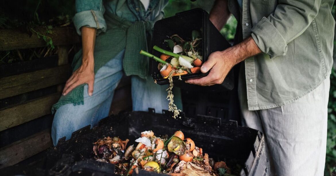 Compost won't turn 'smelly' or 'attract rodents' if gardeners avoid 3 common mistakes
