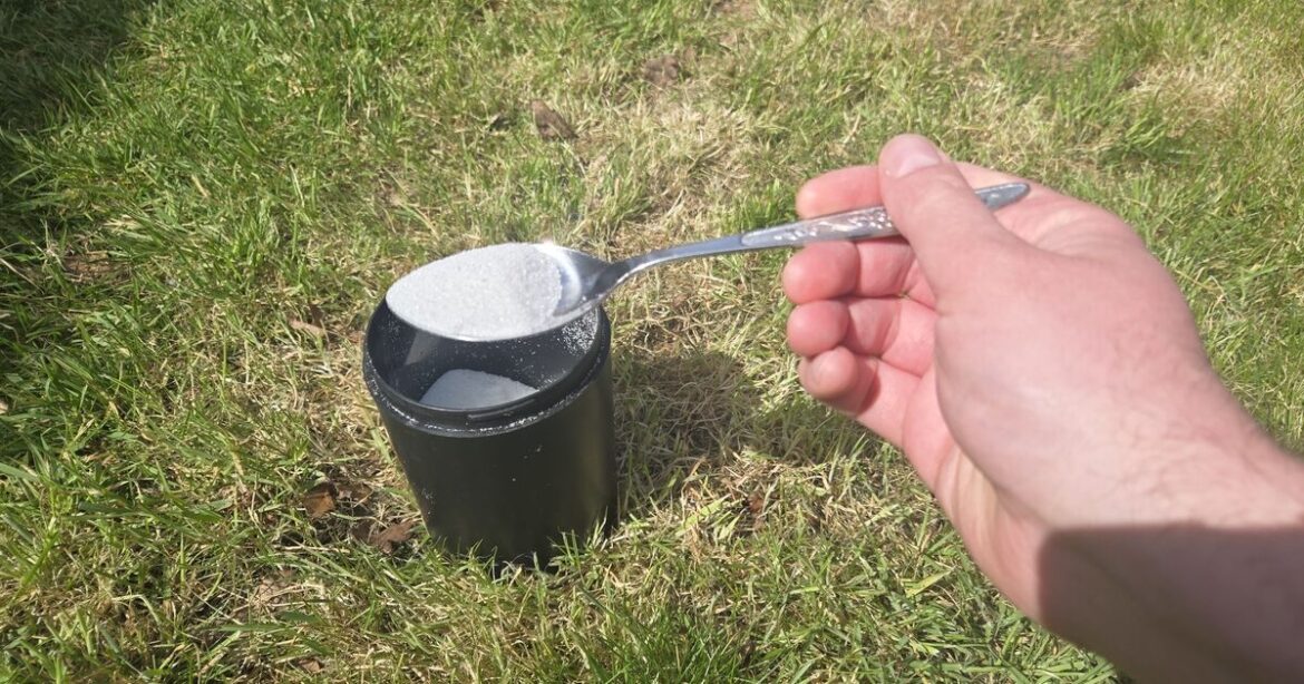 Gardeners urged to sprinkle sugar on lawns this summer Gardeners urged to sprinkle sugar on lawns this summer