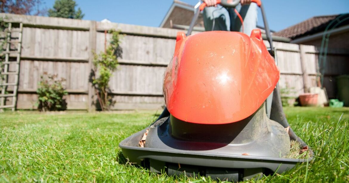 Five lawn mistakes gardeners should avoid this weekend Five lawn mistakes gardeners should avoid this weekend