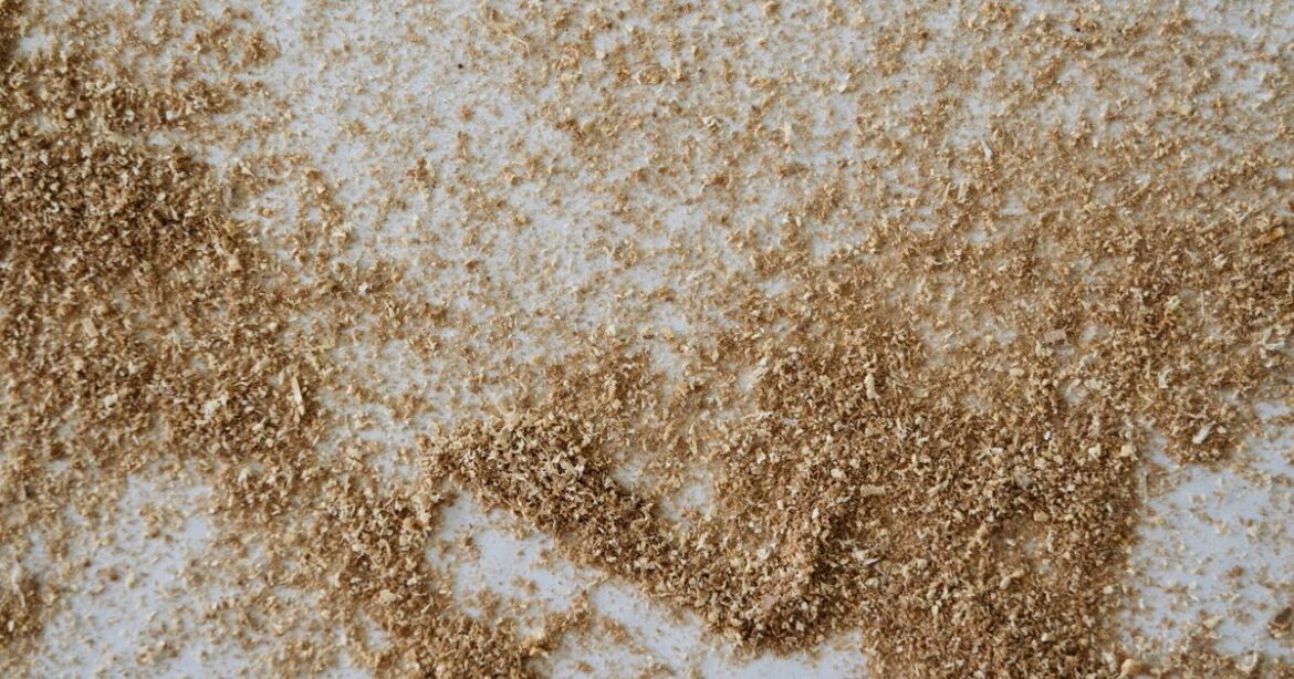 Gardeners urged to scatter grit and sawdust in their gardens today