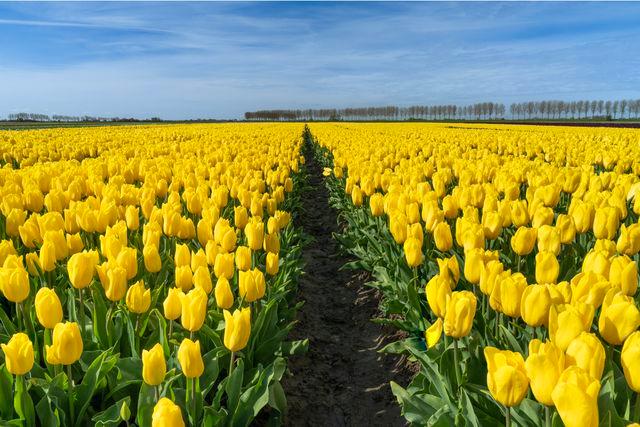 Kees Ijzerman / 500px/Getty Images