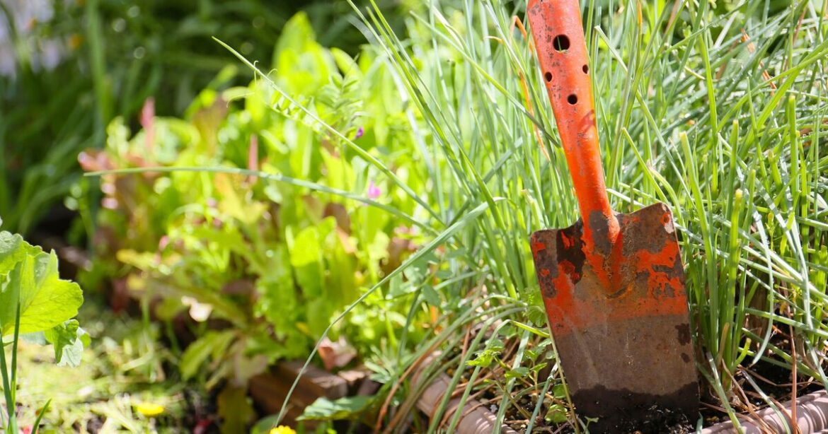 Common kitchen ingredient that will rust-proof your garden furniture | UK | News