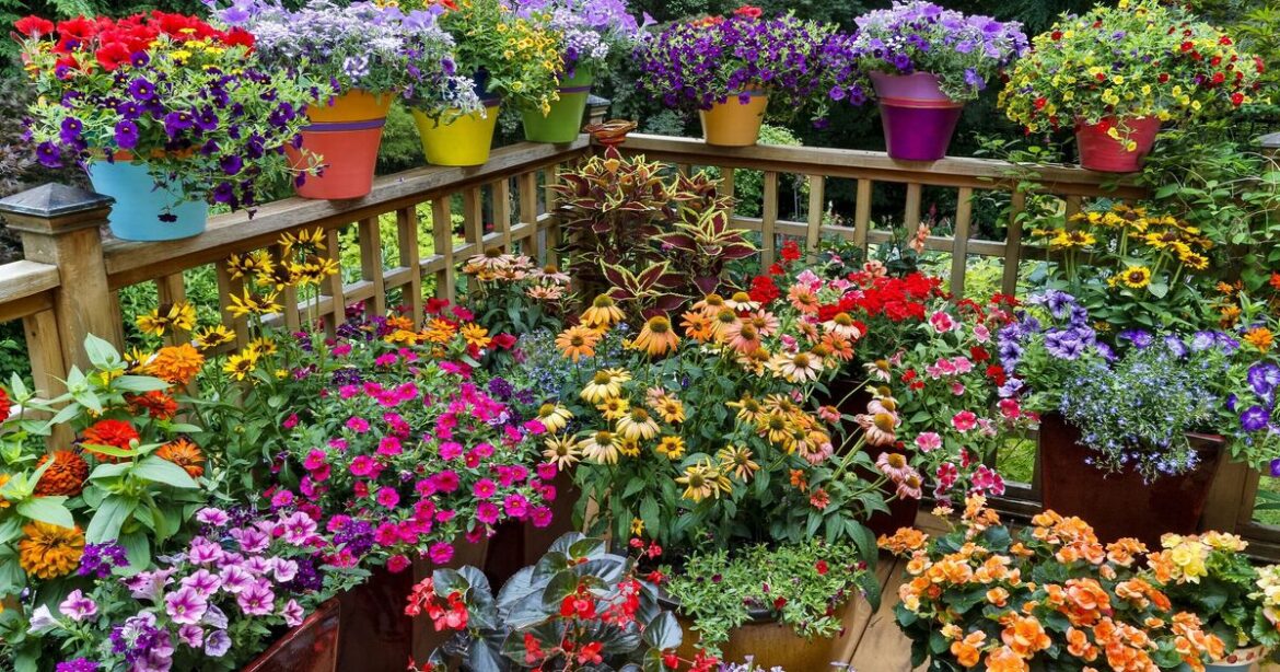 Gardeners urged to use bedsheets to help plants survive the heatwave Gardeners urged to use bedsheets to help plants survive the heatwave