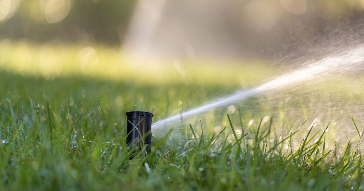 Expert tells gardeners 'don't water your lawn' this weekend