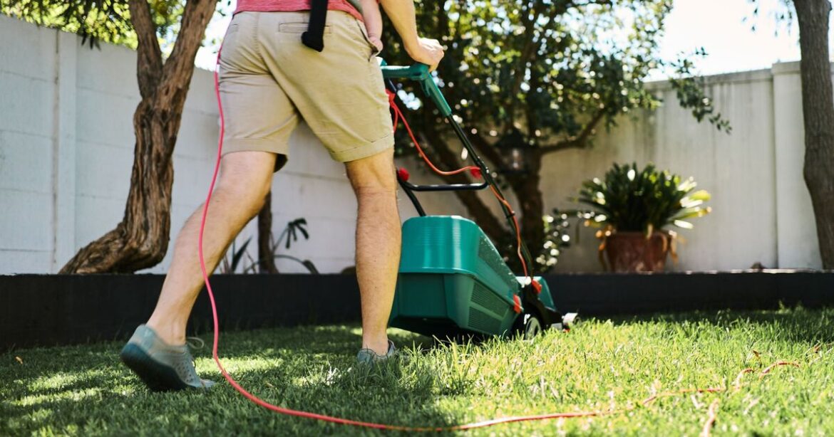 King Charles’ former gardener warns ‘don’t mow lawns’ this weekend King Charles' former gardener warns 'don't mow lawns' this weekend