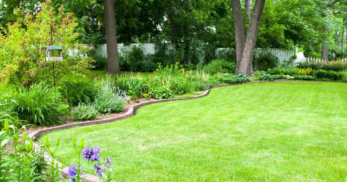 How to keep lawn green in a heatwave by using gardening expert's 3 tips