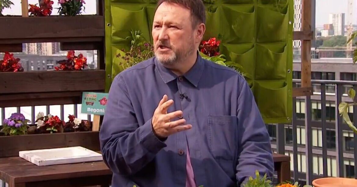 Gardening expert's method to save tomato plants from 'nasty infection'