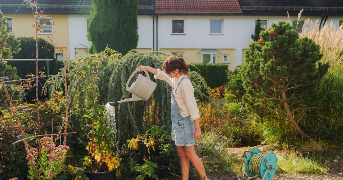 Gardeners can keep flowers alive 6 weeks longer by doing 1 thing