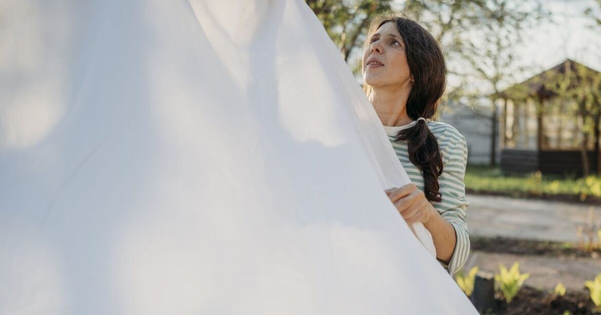 Gardeners urged to put 1 bedding item outside before Saturday Gardeners urged to put 1 bedding item outside before Saturday