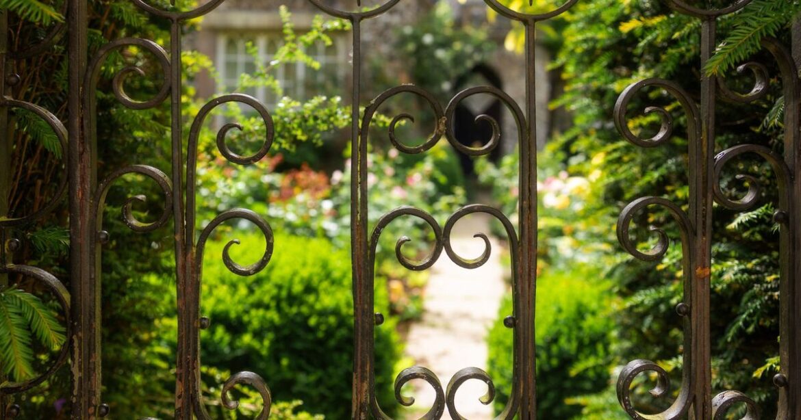 Gardeners urged to do 1 thing to protect their plants this weekend