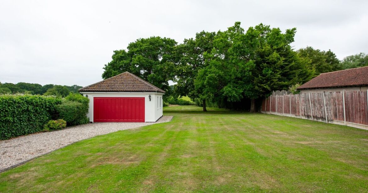 Garden expert says avoid summer lawn mistake which kills grass | UK | News