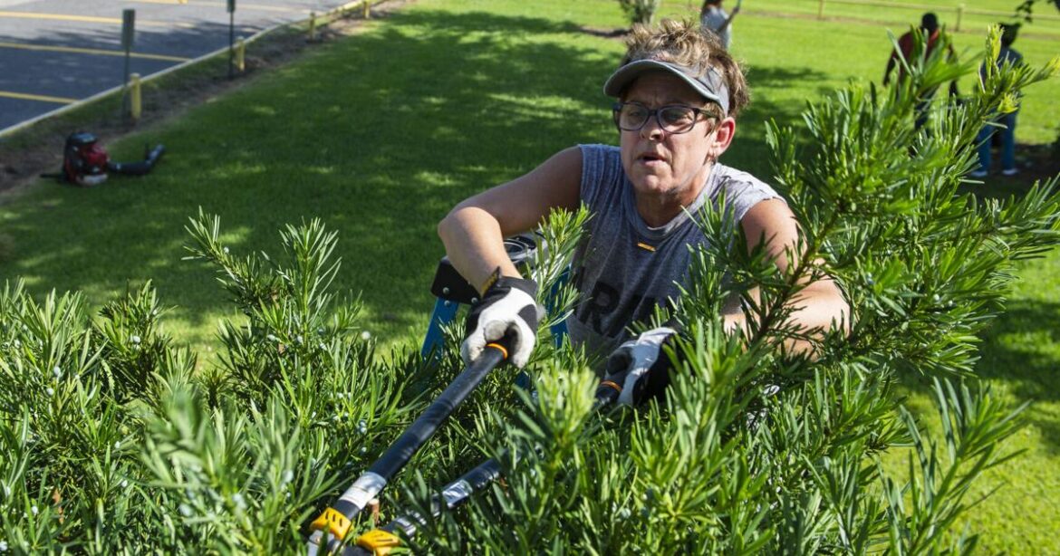 Keep rapid growth in the garden from turning to chaos | Home/Garden