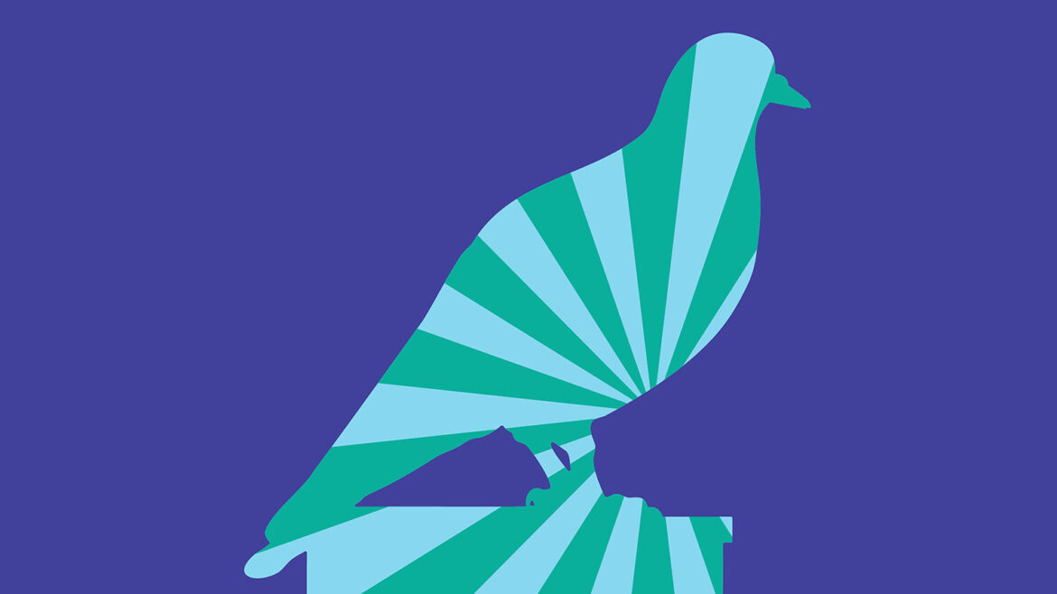 Pigeon Fest – Announcements – e-flux Pigeon Fest - Announcements - e-flux