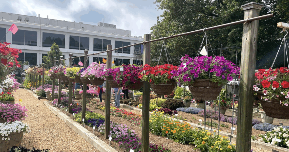 UGA Trial Gardens host industry open house | Arts & Culture
