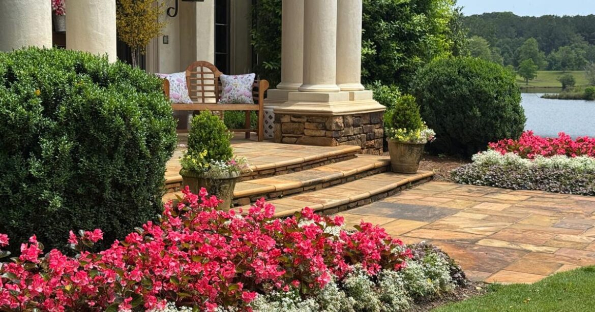 On Gardening: These Surefire begonias will bloom all season | Lifestyle On Gardening: These Surefire begonias will bloom all season | Lifestyle