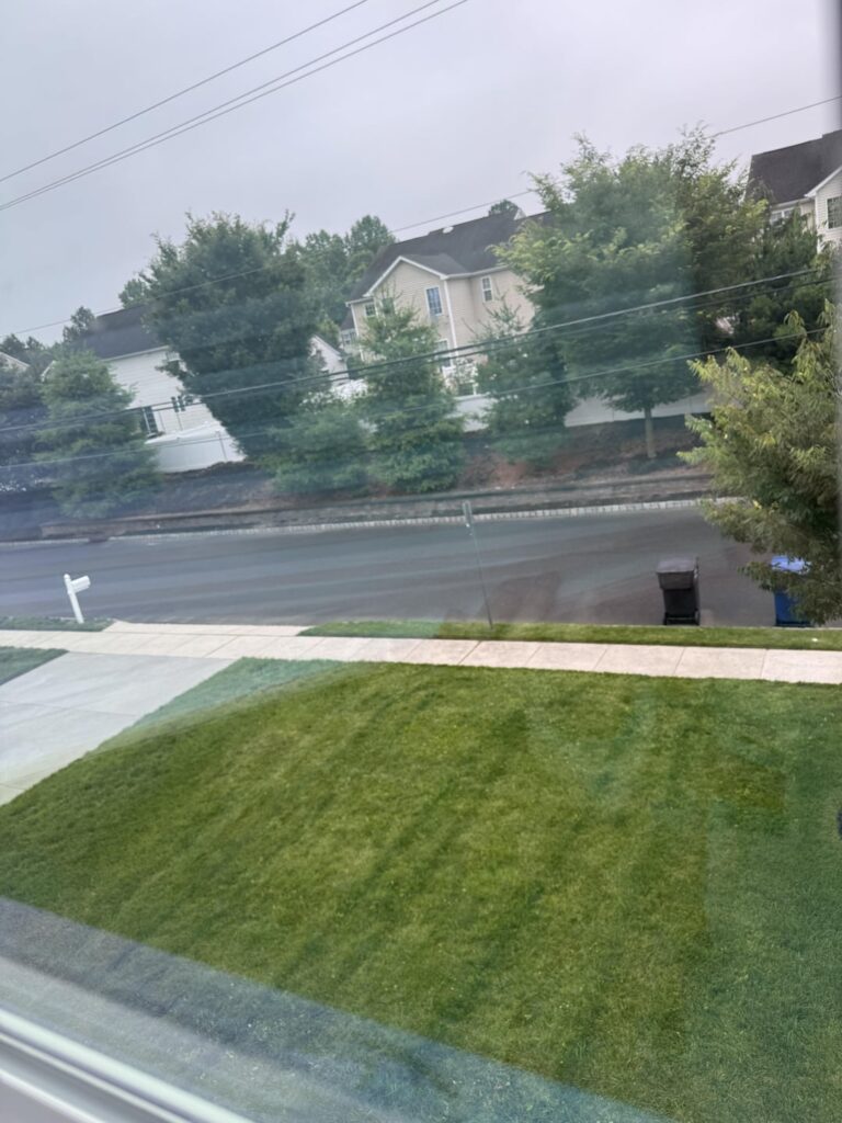 I thought I could beat the Scott’s spreader woes